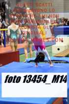 13454_M14-