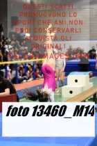 13460_M14-