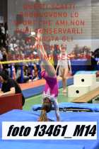 13461_M14-