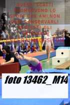 13462_M14-