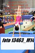 13463_M14-