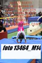 13464_M14-
