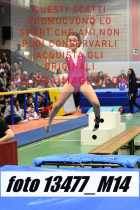 13477_M14-