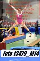 13479_M14-