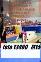 13480_M14-