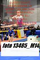 13485_M14-