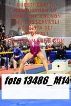 13486_M14-