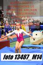 13487_M14-