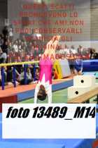 13489_M14-