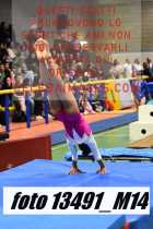 13491_M14-