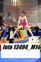 13494_M14-