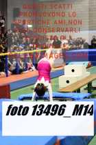 13496_M14-