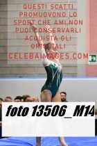 13506_M14-