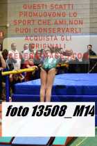 13508_M14-