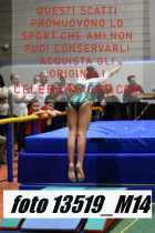 13519_M14-