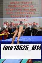 13525_M14-