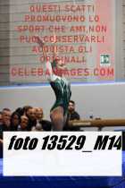 13529_M14-