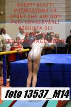 13537_M14-