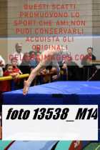 13538_M14-