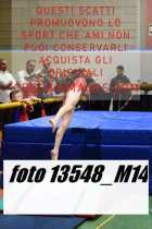 13548_M14-