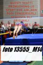 13555_M14-