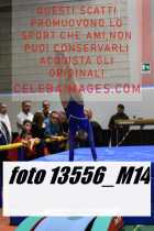 13556_M14-