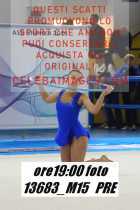13683_M15-PRE