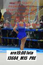 13684_M15-PRE