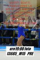 13685_M15-PRE