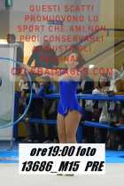 13686_M15-PRE