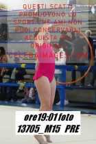 13705_M15-PRE