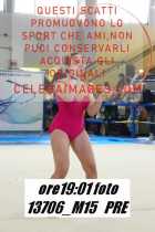 13706_M15-PRE