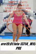 13714_M15-PRE