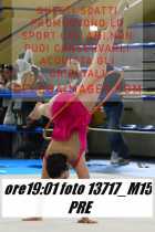 13717_M15-PRE