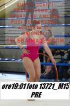 13721_M15-PRE