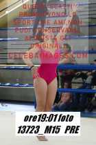 13723_M15-PRE