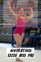 13726_M15-PRE