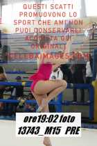 13743_M15-PRE