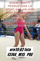 13744_M15-PRE