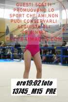 13745_M15-PRE