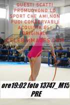 13747_M15-PRE