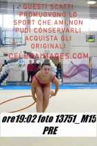 13751_M15-PRE