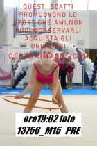 13756_M15-PRE