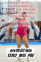 13762_M15-PRE