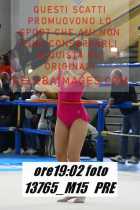 13765_M15-PRE
