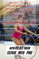 13768_M15-PRE