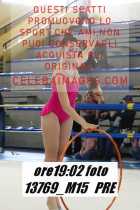 13769_M15-PRE