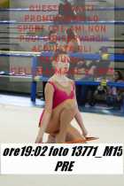 13771_M15-PRE