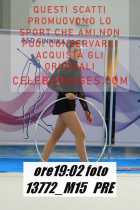 13772_M15-PRE