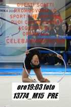 13774_M15-PRE